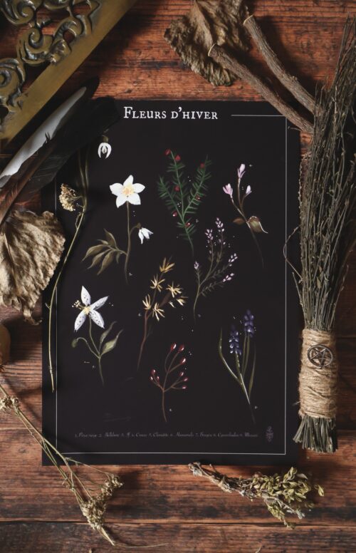 Affiche « Fleurs d’hiver » • Tirage d’art