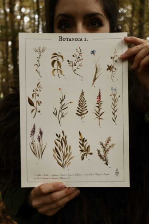 Affiche • Botanica I